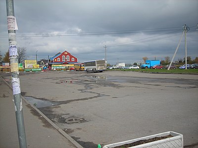 Автостанция ленинградская. Северный автовокзал Мурино. Северный автовокзал СПБ В Девяткино. Автовокзал в Приморске Ленинградской. Северный автовокзал Мурино . На сланцы.