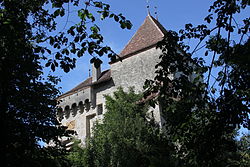 Bailiffs Castle Surpierre Aug 2011.jpg