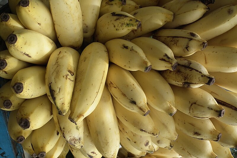 File:Banana sale at Lalbagh during flower show 2011 7468.JPG
