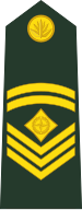 File:Bangladesh-army-OR-6.svg