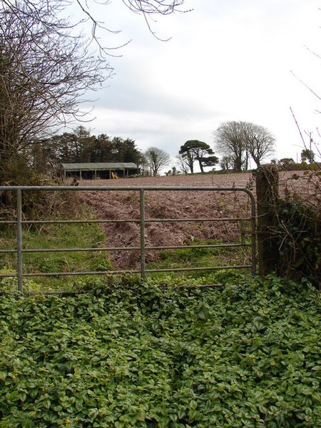 File:Barn, Ploughed Field, Gate and Mint - geograph.org.uk - 757565.jpg