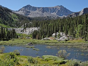 Beaver lodge in McGee Creek