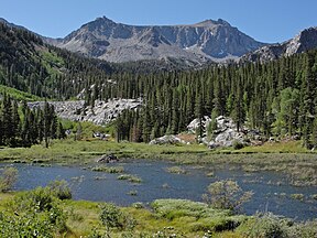 Beaver Lodge, McGee Creek Canyon