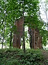 Руины усадьбы Тышкевичей