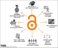 wmuk:File:Benefitsofopenaccess cc-by logo cy PNG.png