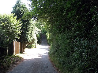 <span class="mw-page-title-main">Berry's Green</span> Human settlement in England