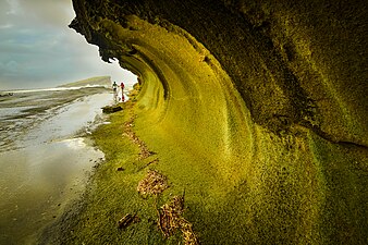 Biri Larosa Protected Landscape and Seascape (BLPLS) is composed of four small, rocky islands located at San Bernardino Strait that meets Pacific Ocean. Photograph: Jsinglador