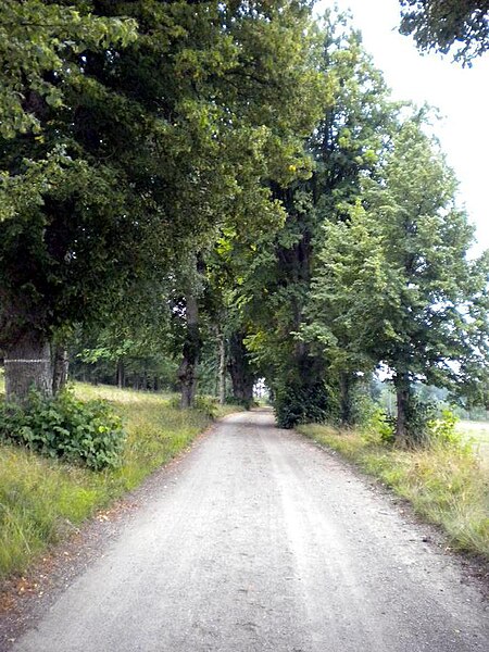 File:Björn Järnsidas väg (road) 2009 Ekerö (3).jpg