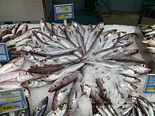 Blue whiting sold for human consumption in Spain Blue whiting (bacaladilla).jpg