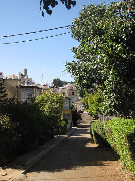 A leafy lane in Bnei Brak