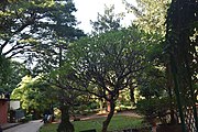 View of Bonsai Garden Lal Bag Bangalore