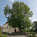 Chestnut in front of the chapel