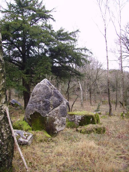 File:Boulder, Wakebarrow Woods - geograph.org.uk - 336115.jpg