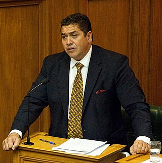 <span class="mw-page-title-main">Brendan Horan</span> New Zealand politician