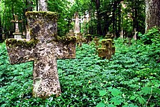 Brusno Stare - cmentarz greko-katolicki na terenie dawnej wsi.jpg