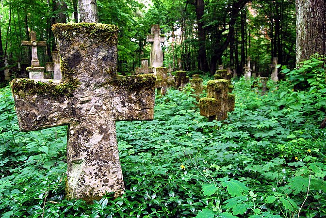 Remainings of a Greek Catholic graveyard in a non-existent village Brusno Stare in the Subcarpathian province. Author: Cyfranek.