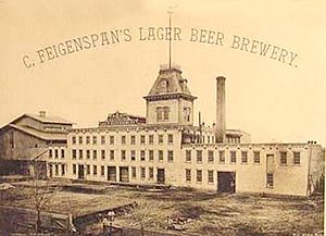 jersey brewery