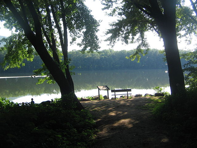 Canfield Island looking out onto the West Branch Susquehanna River in Loyalsock Township in August 2009