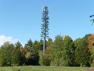 Cellular antenna disguised to look like a tree Cell phone tower disguised 2008.jpg