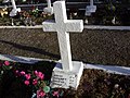 Cemetery of Polish victims of the German Nazi massacre in Sochy from June 1, 1943 Nizio family.jpg