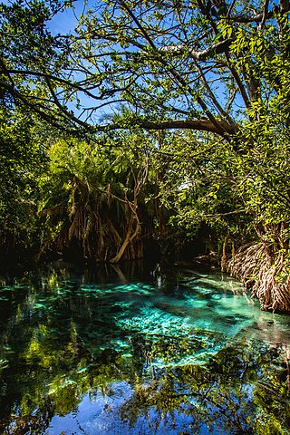 <span class="mw-page-title-main">Kikuletwa Hot Springs</span> Hot springs system in Kilimanjaro Region, Tanzania