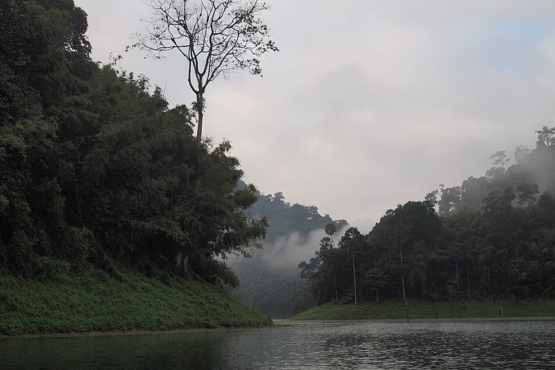 File:Cheow Lan Lake, Rainforest on the lake, Khao Sok, Thailand.jpg