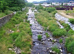 Chiebbia à valdengo.jpg