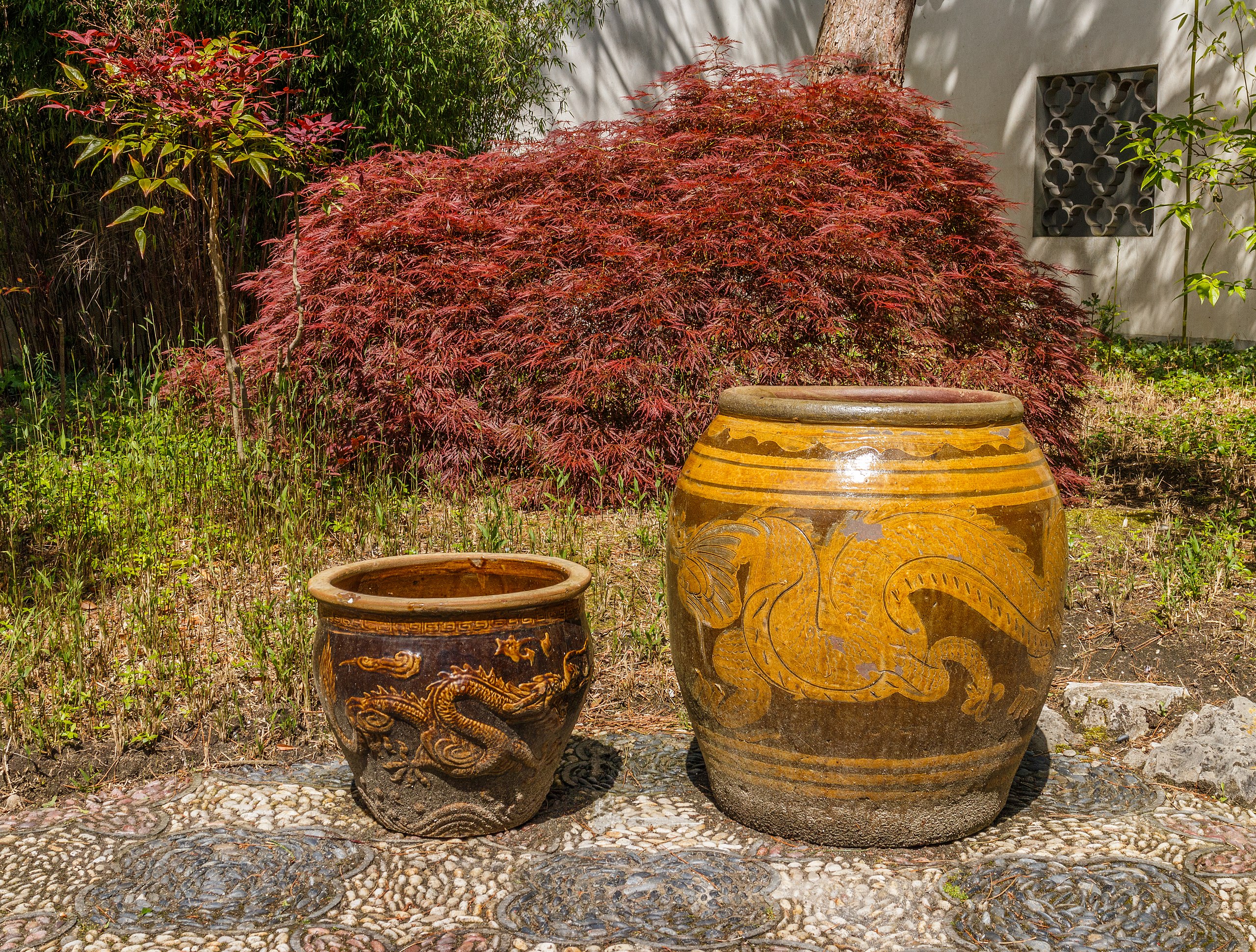 File:Chinese stenen potten voor Japanse esdoorn (Acer palmatum). Locatie, Chinese Het Verborgen Rijk van Ming in de Hortus 02.jpg - Wikimedia Commons
