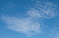 * Nomination Cirrocumulus clouds, Thousand Oaks, California. --King of Hearts 17:43, 16 July 2010 (UTC) * Promotion Good. --Cayambe 11:41, 24 July 2010 (UTC)