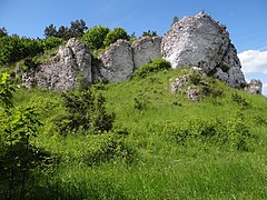 Mały Mur i Cisownik I