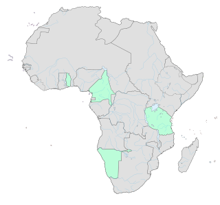 German colonization of Africa