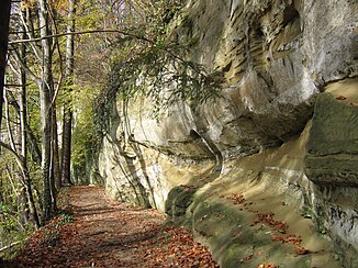 Dans l'Aachtobel