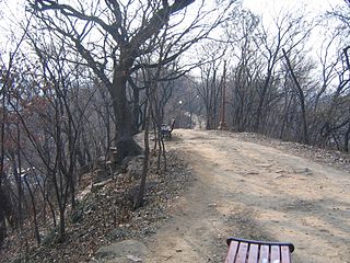 <span class="mw-page-title-main">Dalseong Park</span> Park located in Jung-gu, Daegu, South Korea