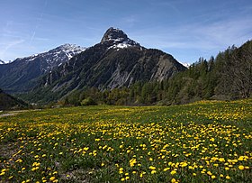 Le mont Chétif vu depuis les hauteurs d'Entrèves à l'entrée du val Ferret au nord-nord-est.