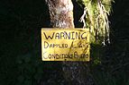 Dappled sign