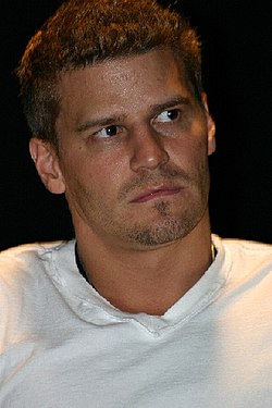 David Boreanaz May 2004.jpg