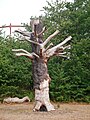 Dead tree in Bigs Hill Wood, Crayford.