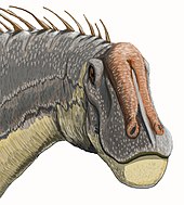 Dicraeosaurus