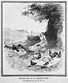 Die Gartenlaube (1887) b 533.jpg Mittagsruhe in der Sommerfrische. Originalzeichnung von E. Ravel.