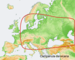 Distribution map Campanula cervicaria.png
