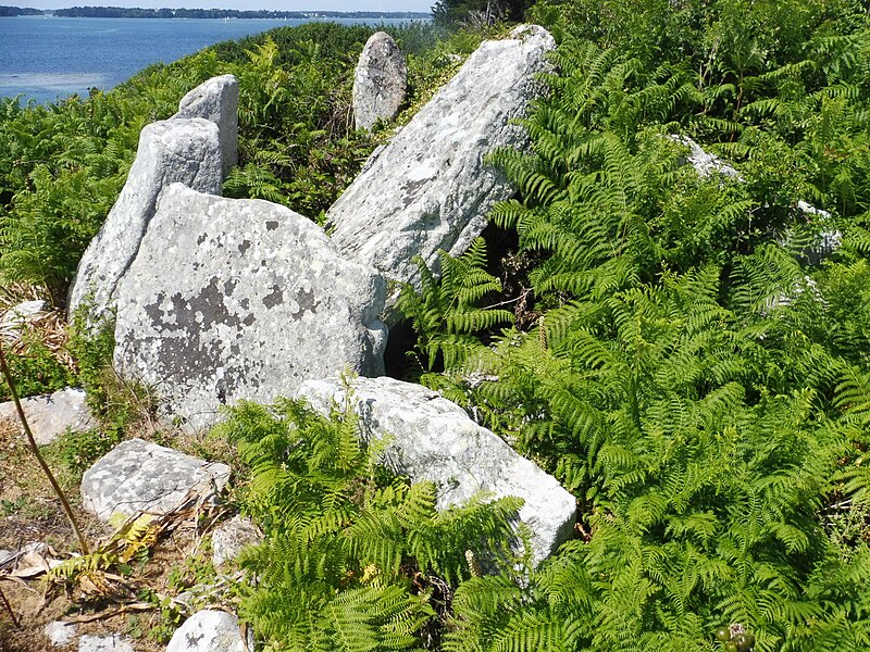 File:Dolmens de la pointe de Nioul.jpg