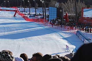 <span class="mw-page-title-main">Dominik Schwaiger</span> German alpine skier