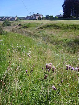 Drainage ditch in Eggleston - geograph.org.uk - 525609