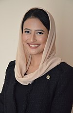 Miniatura per Hijab