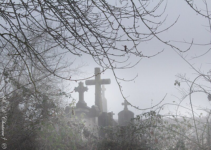 File:E Le vieux cimetière abandonné.jpg