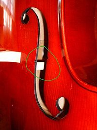 This photo shows the thick soundpost on a double bass (circled in green). Efe cb.jpg