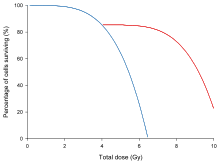 This is a graph depicting the effect of dose fractionation on the ability of gamma rays to cause cell death. The blue line is for cells which were not given a chance to recover; the radiation was delivered in one session, the red line is for cells which were allowed to stand for a time and recover. With the pause in delivery conferring radioresistance. Effectofselfrepair.svg
