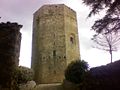 Věž Federica II..