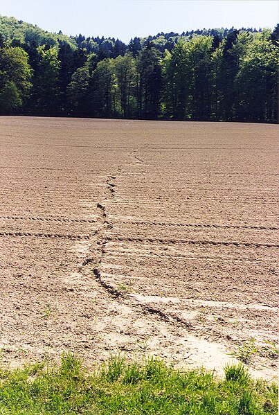 File:Erosion Rillen018.jpg