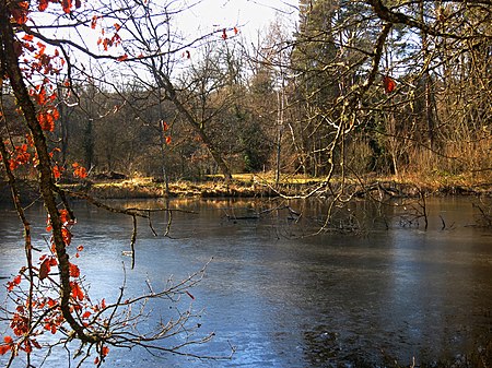 Eschheimer Weiher